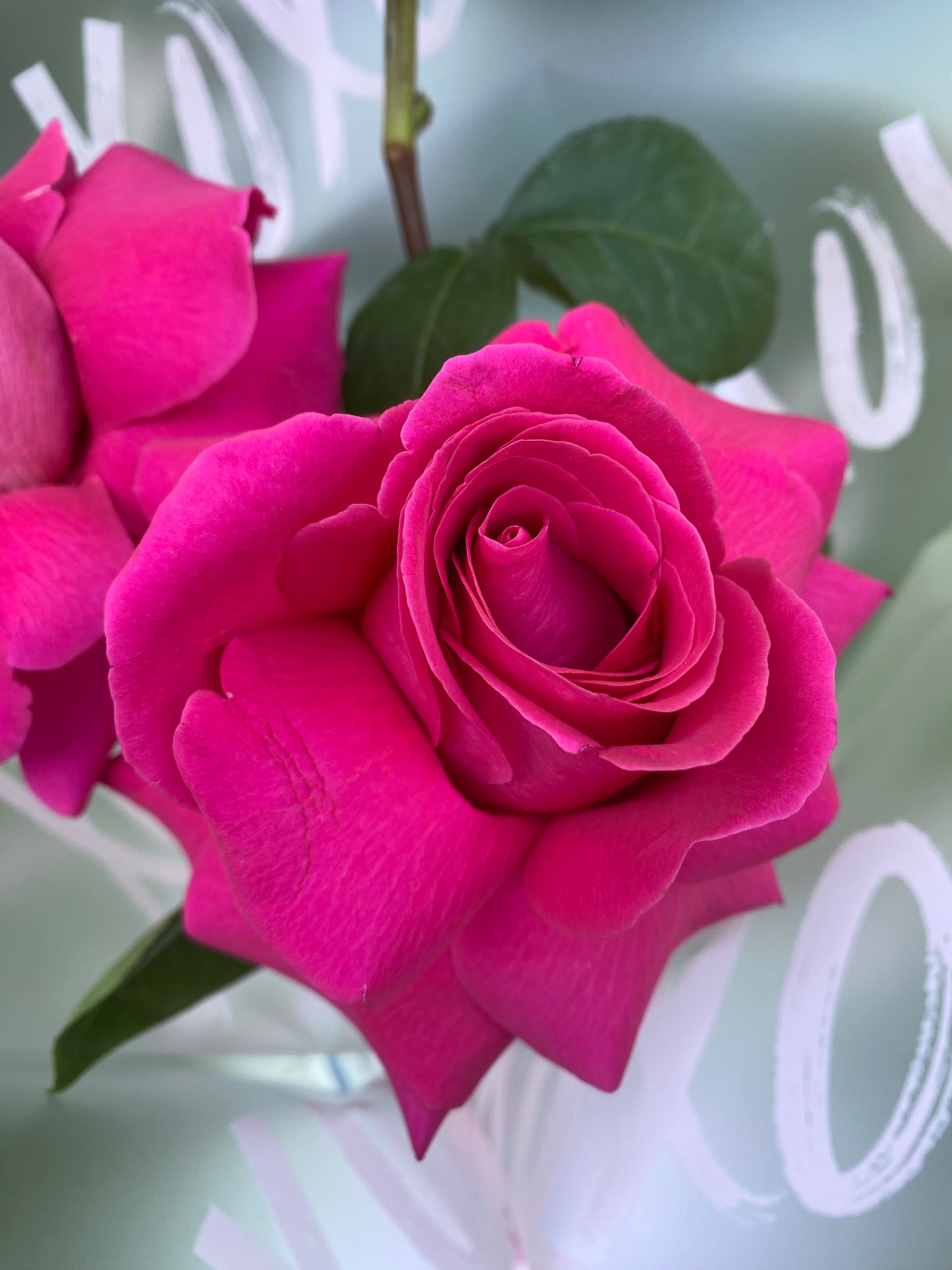 XO Valentine’s Rose Bouquet